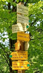 22  Info