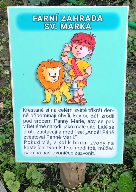 22  Info