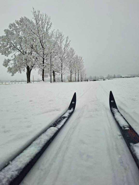 23  Cestou k parkovišti