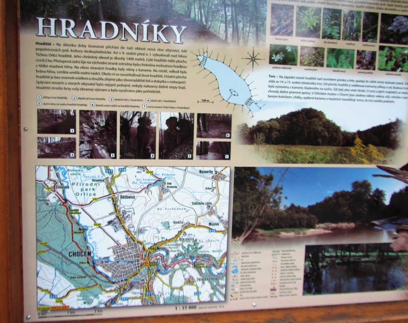 Info panel