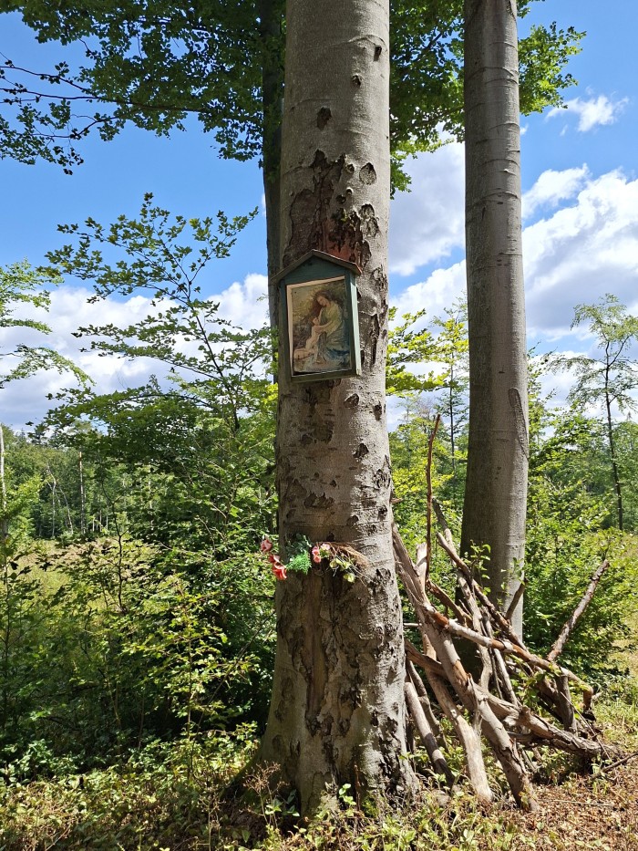 26  Obrázek u cesty