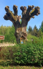 27  Stanovice