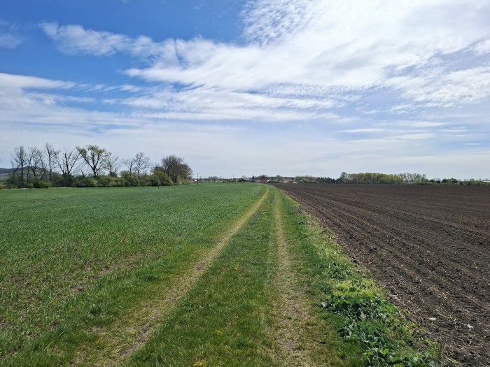 28  Cestou k obci Odřepsy