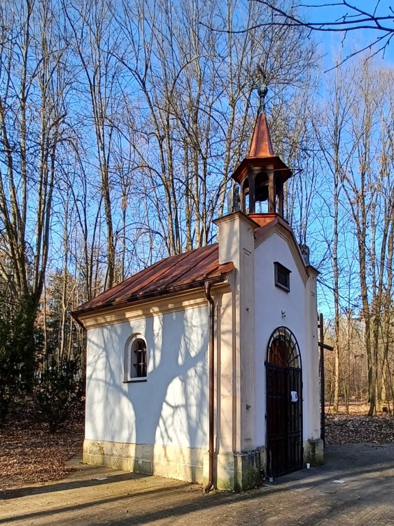 29  Kaple