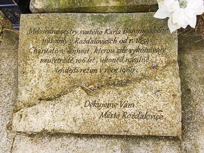29  