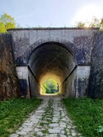 31  Tunel