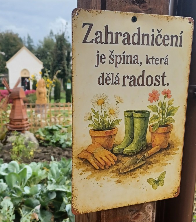 31  Myšlenka