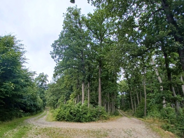 33  Rozcestí