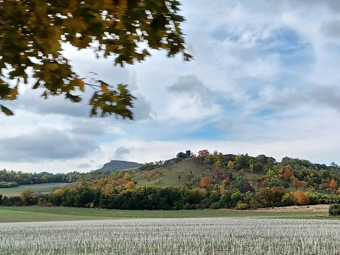 33  Kočka u Žitenic