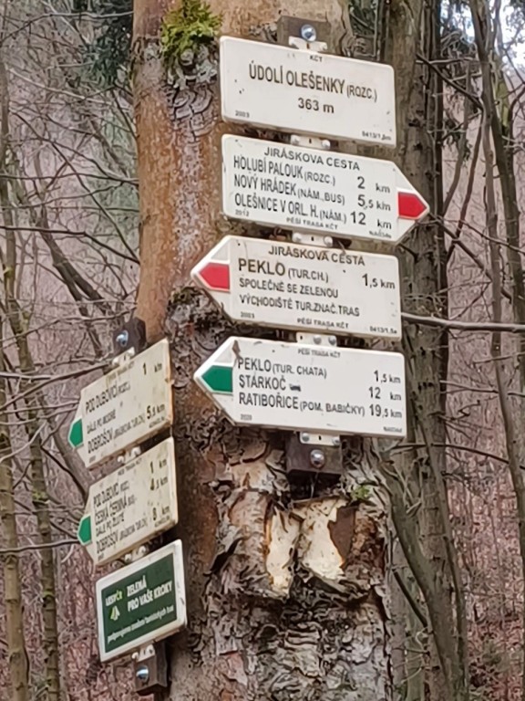38  Info
