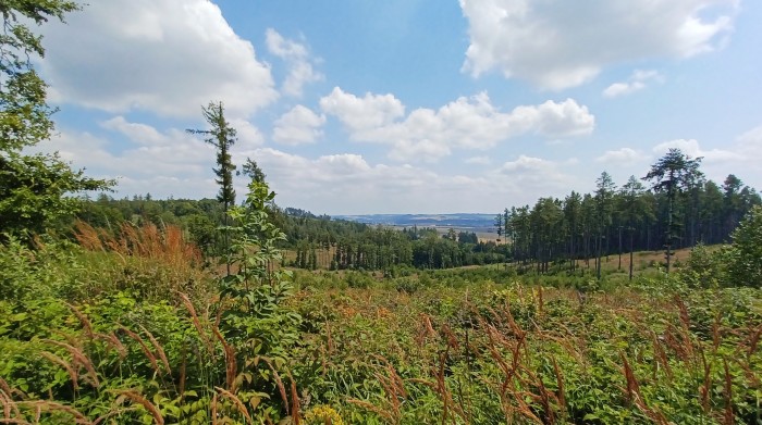 38  Pohled do kraje