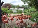 38  Ostrava ZOO