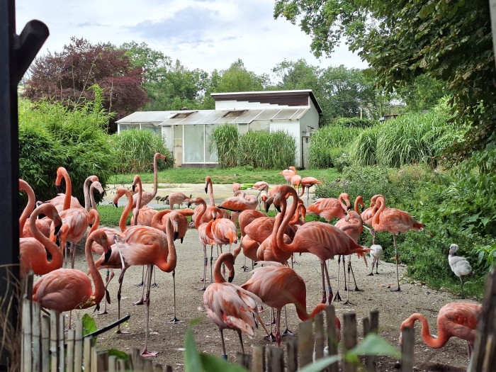 38  Ostrava ZOO