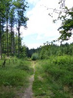 38  Cestou ke studánce