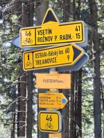 39  Info