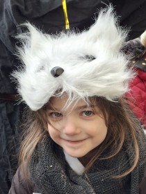 "Kočička", Hradec Králové 16. února 2026