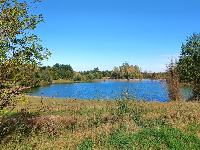 41  Obora