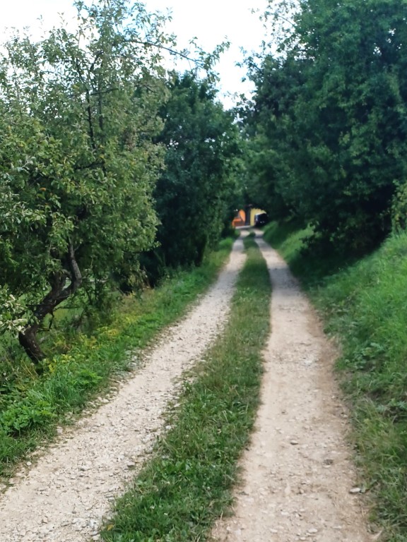 46  V cíli