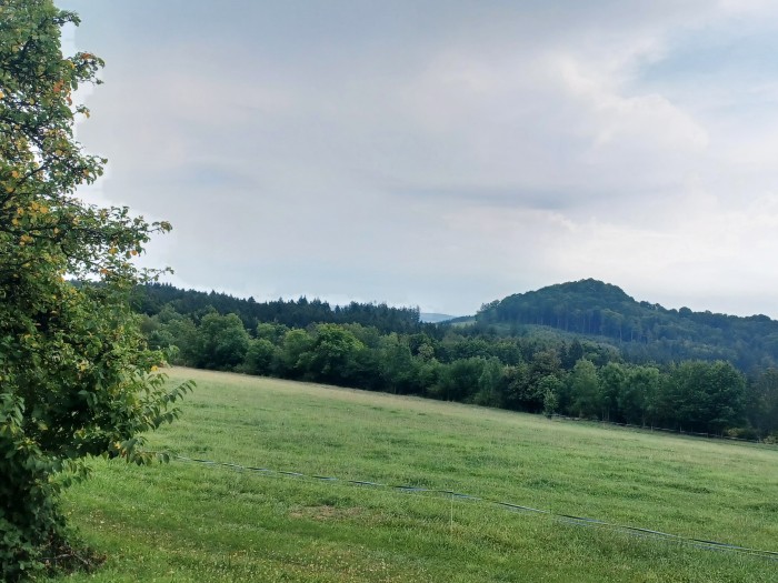 46  Zřícenina hradu Bradlec