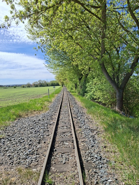 48  Kolínská řepařská drážka