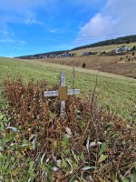 51  Kříž s nápisem: "Bylo jí 12 let..."