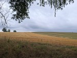 51  Horizont