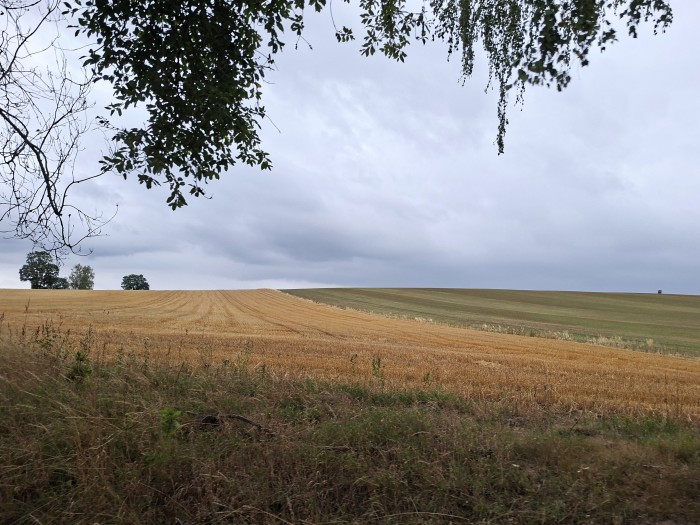 51  Horizont