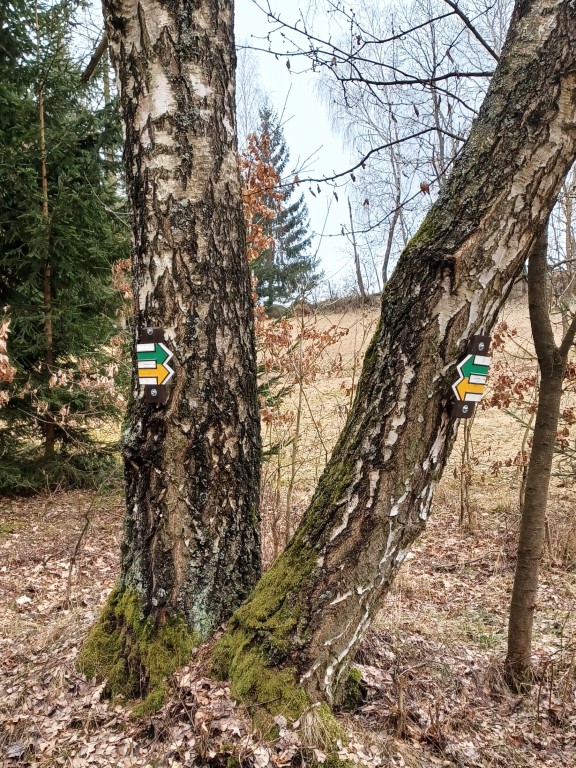 53  Odbočka