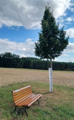 54  Lavička