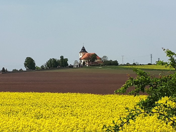 57  Mikulovice - kostel sv. Václava