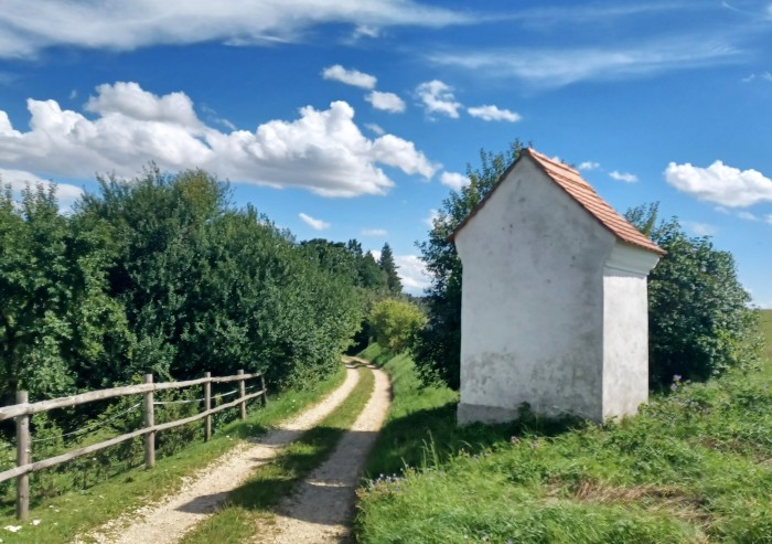 58  V cíli