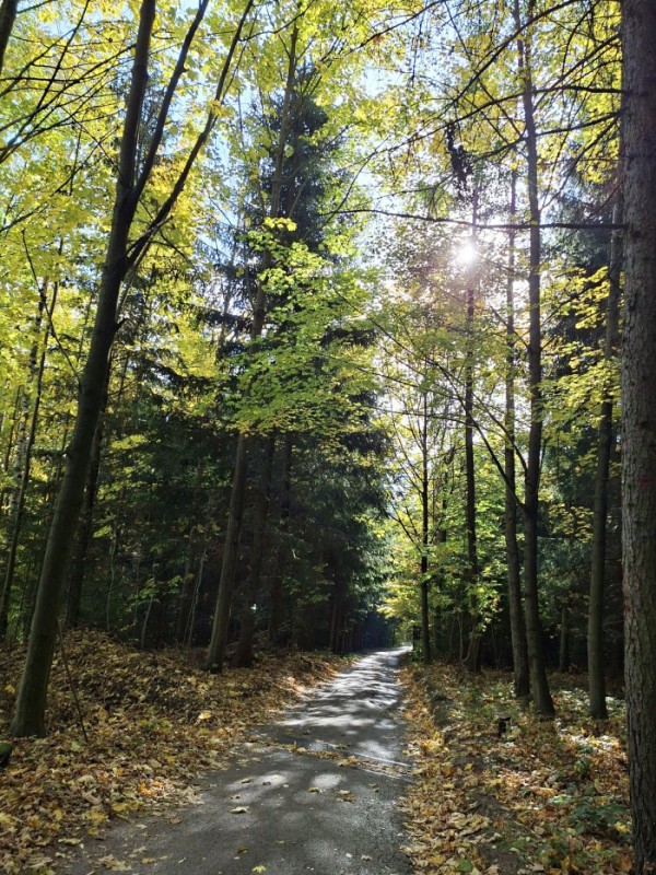 65  Sjezd do Svatoňovic