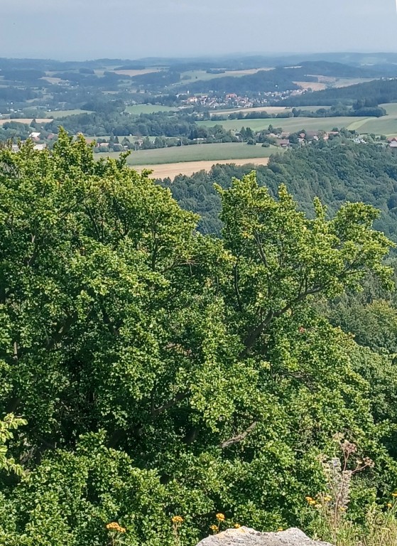 67  Pohled k Nové Pace