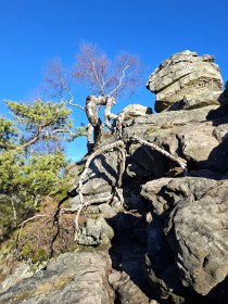 9 Skal, 10. prosince 2025