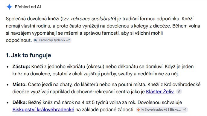 42  Pohled AI...