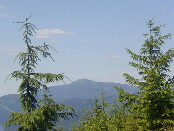 24  Lys hora