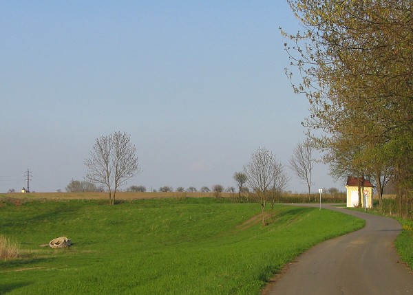 13  Cesta   