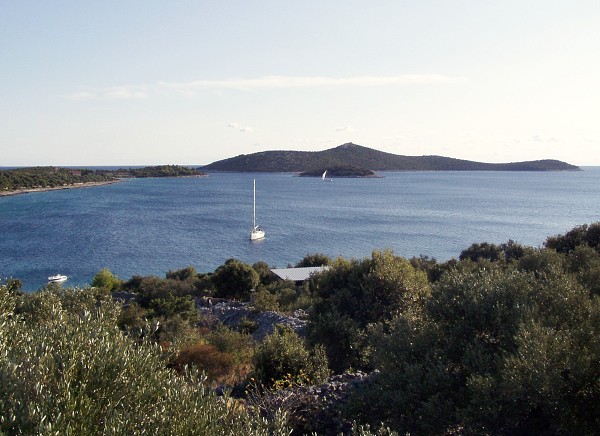 33  Ztoina 