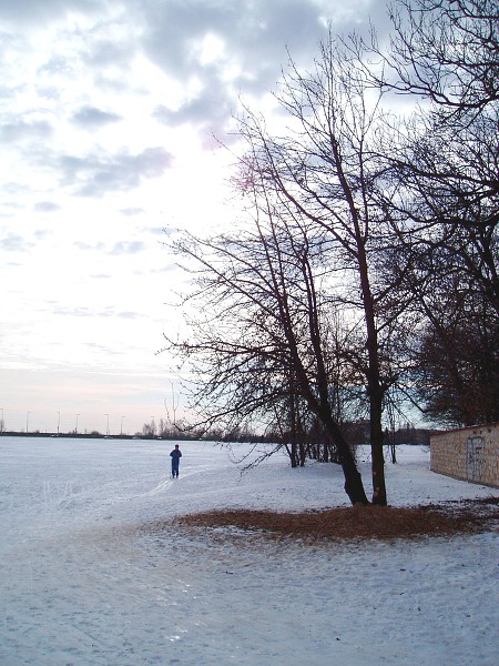 04  Hvzda