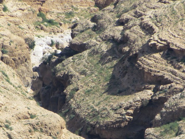 14  Detail