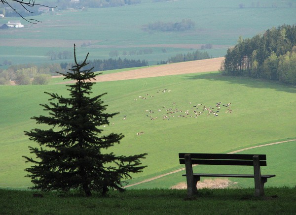 31  Lavička