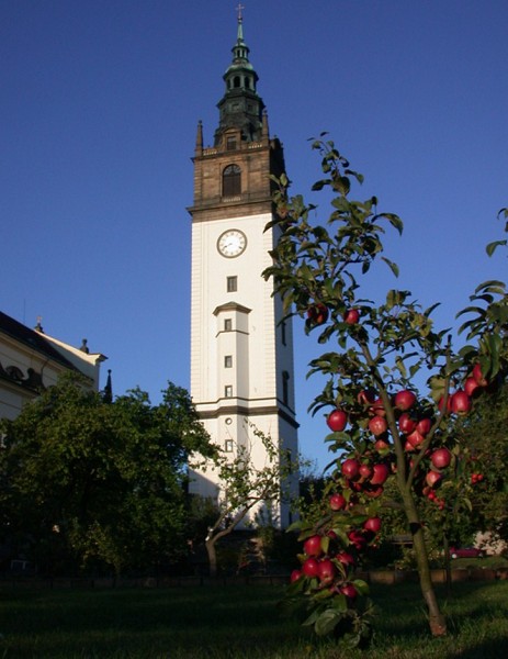 13  Zahrada Čech