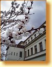 16  Květy