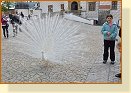 27  Albín