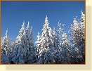 06  Krásy zimní přírody 