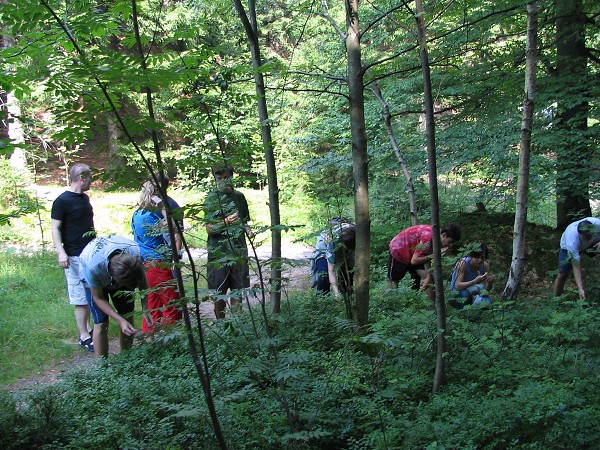 28  Borvkov zastvka  