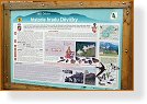 35  Info  
