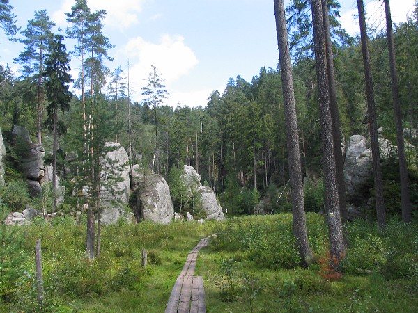 19  Rašeliniště