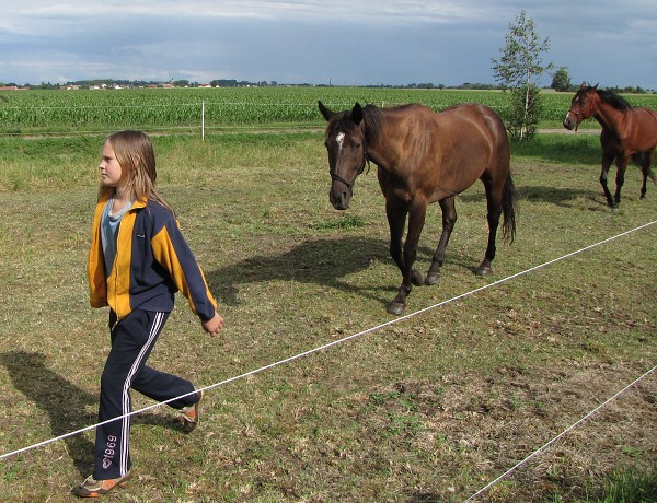 04  Terezka a jeji koně