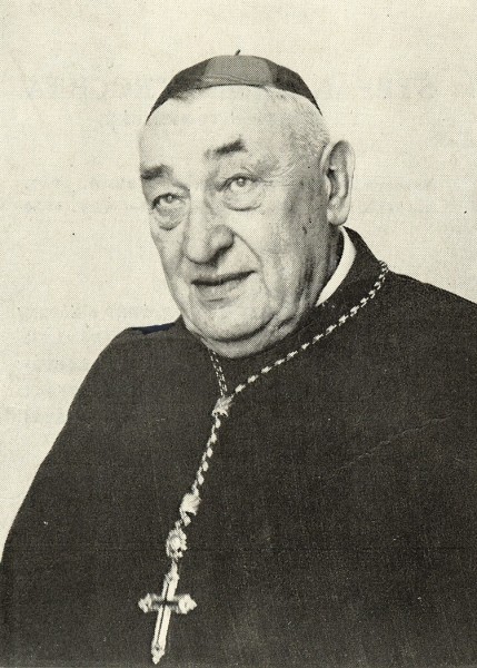 82  tpn Trochta 